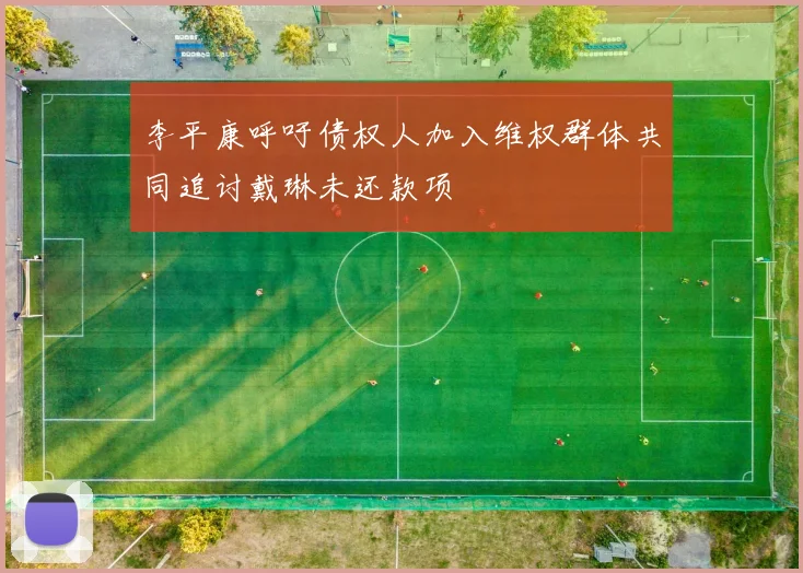 李平康呼吁债权人加入维权群体共同追讨戴琳未还款项