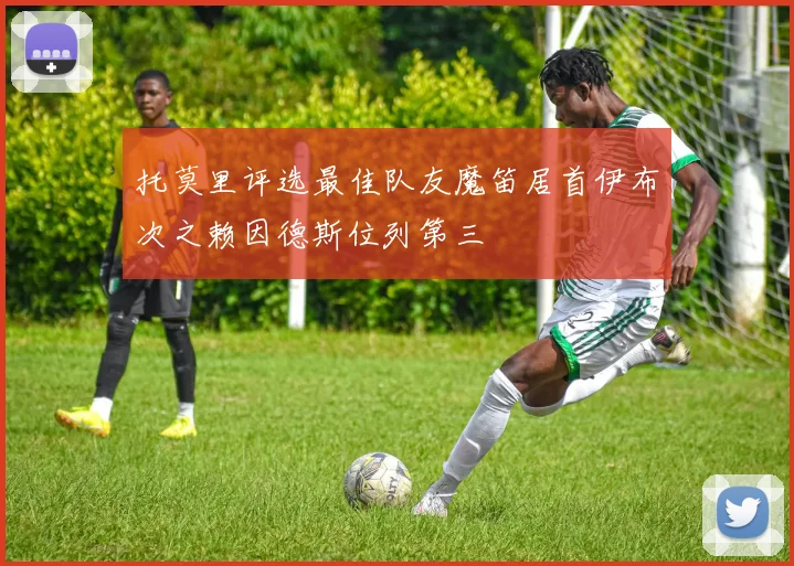 托莫里评选最佳队友魔笛居首伊布次之赖因德斯位列第三