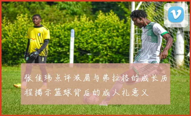 张佳玮点评浓眉与弗拉格的成长历程揭示篮球背后的成人礼意义