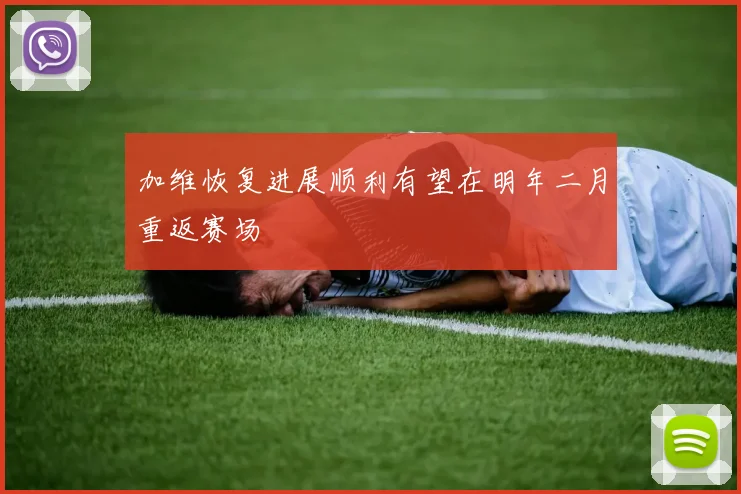 加维恢复进展顺利有望在明年二月重返赛场