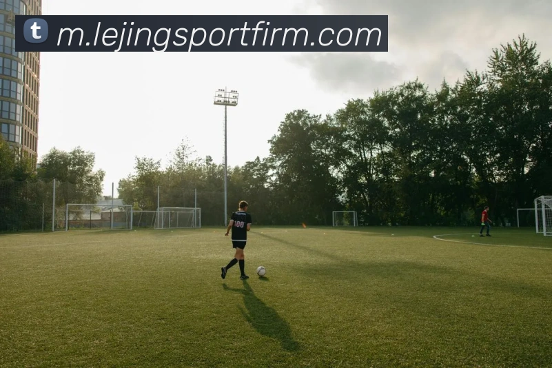 乐竞体育平台生态图